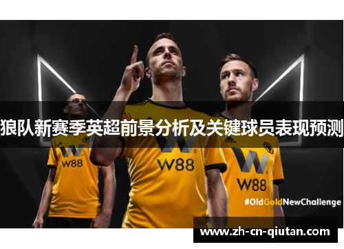 狼队新赛季英超前景分析及关键球员表现预测